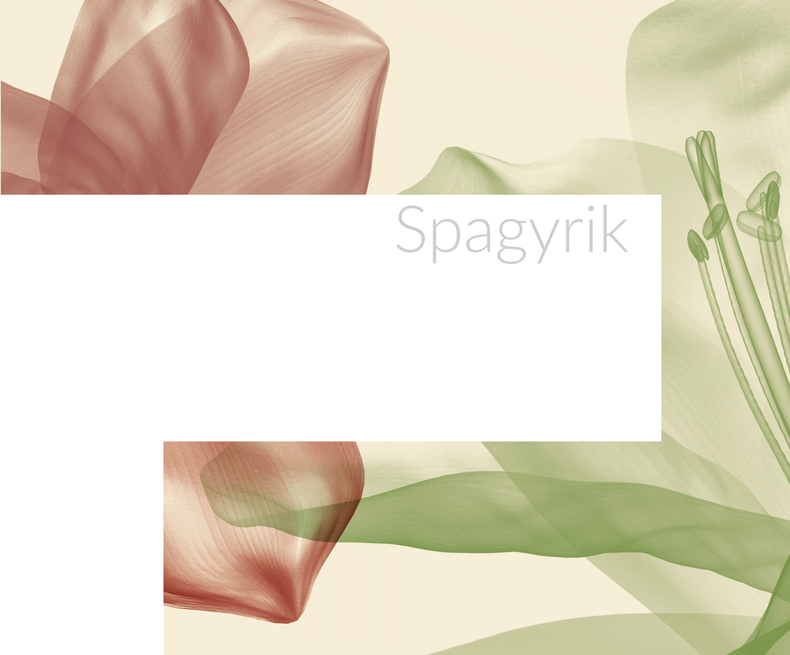 Spagyrikwand_E5